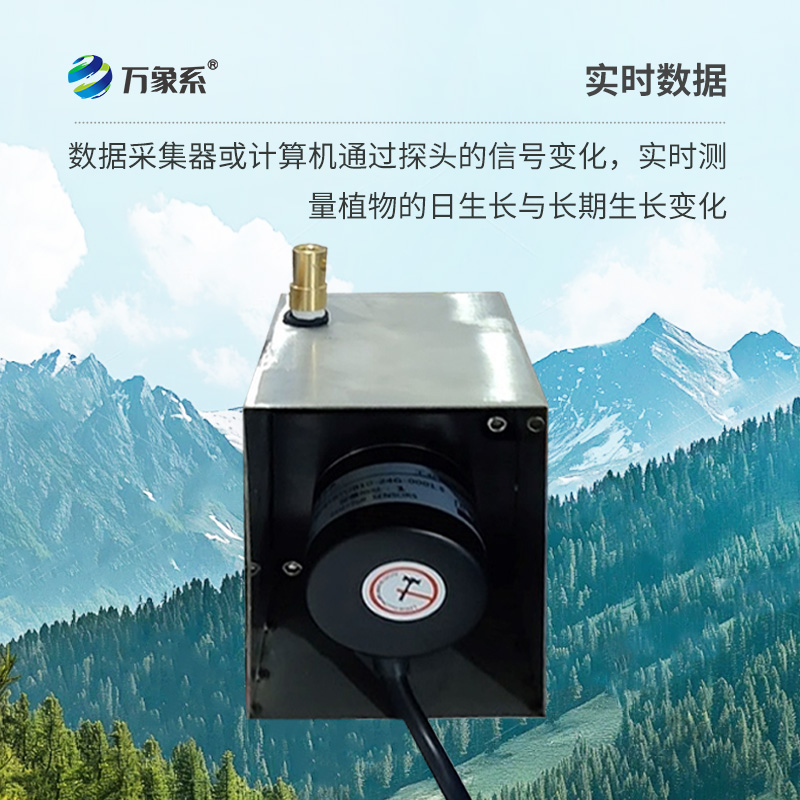 植物生長傳感器，監(jiān)測環(huán)境因子對樹干生長變化的影響